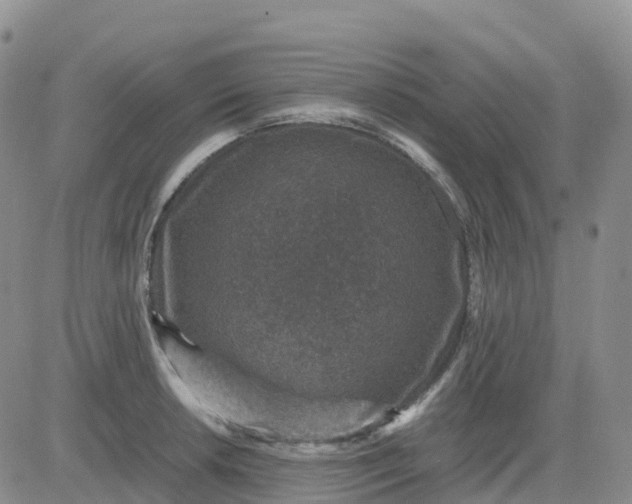 X0000083581042200702231650