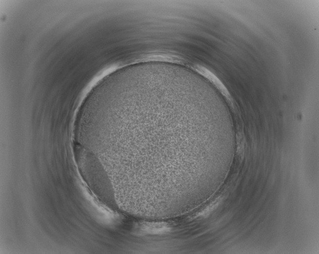 X0000083581043200702231650