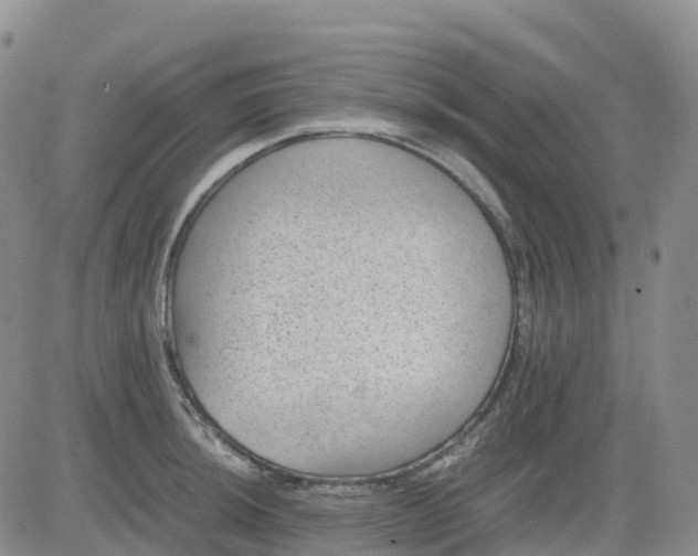 X0000083581044200702231650