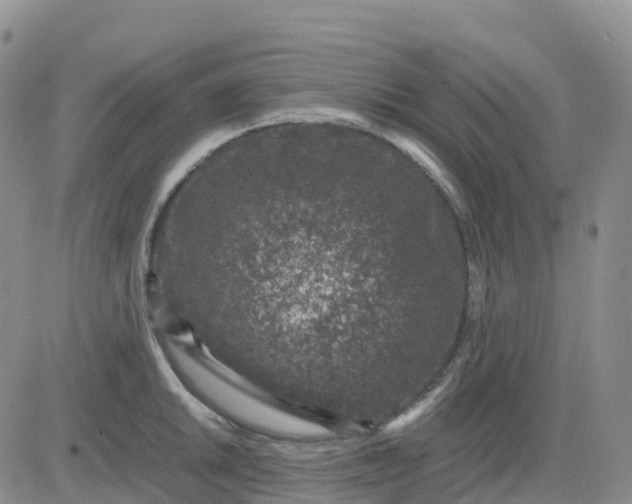 X0000083581046200702231650