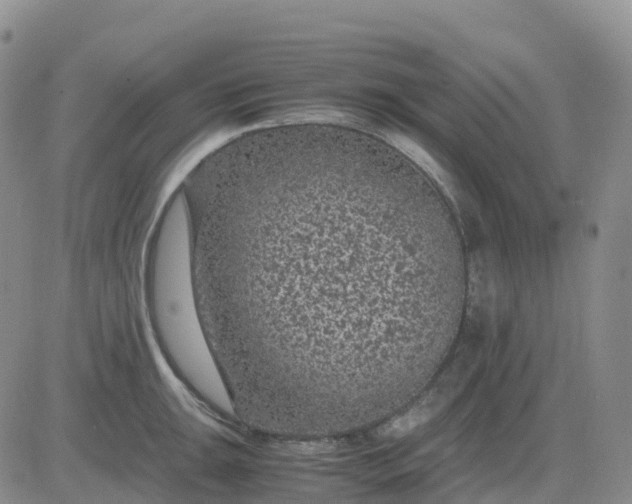 X0000083581047200702231650