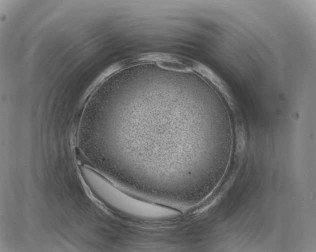 X0000083581049200702231650