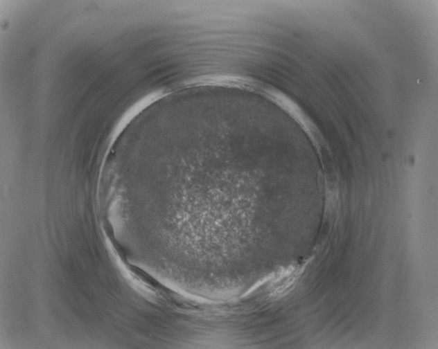 X0000083581050200702231650