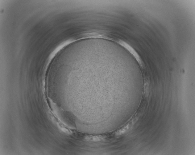 X0000083581051200702231650