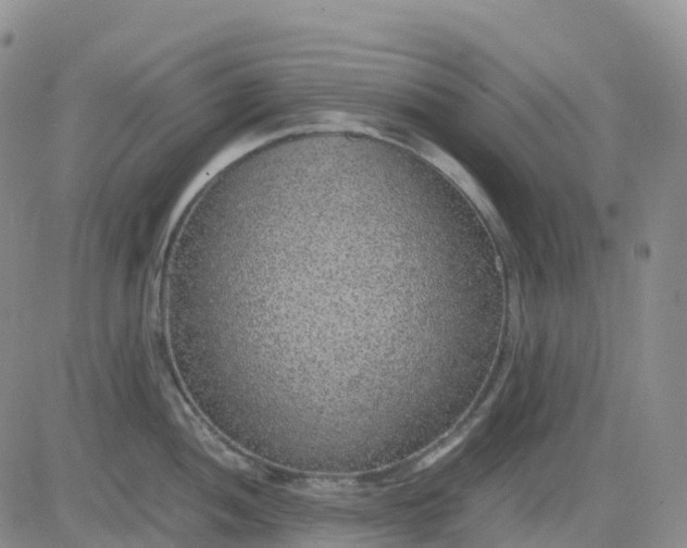 X0000083581052200702231650