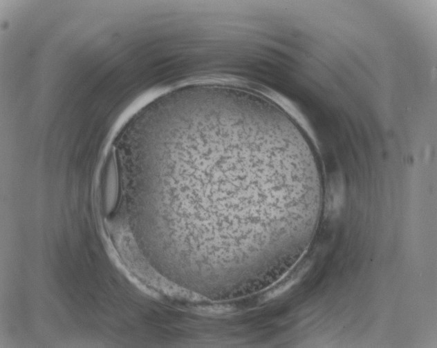 X0000083581053200702231650