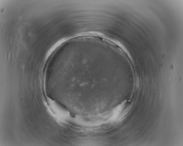 X0000083581054200702231650