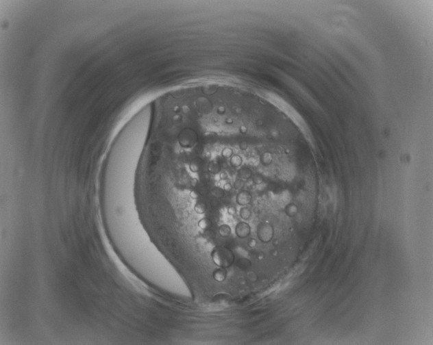 X0000083581055200702231650