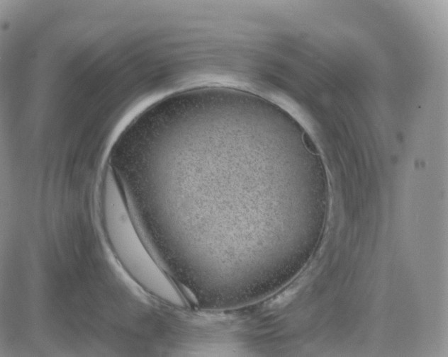 X0000083581056200702231650