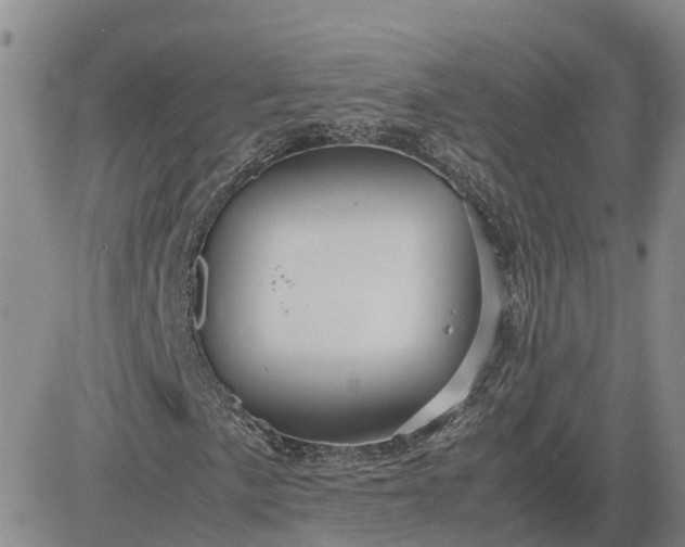 X0000083581057200702231649