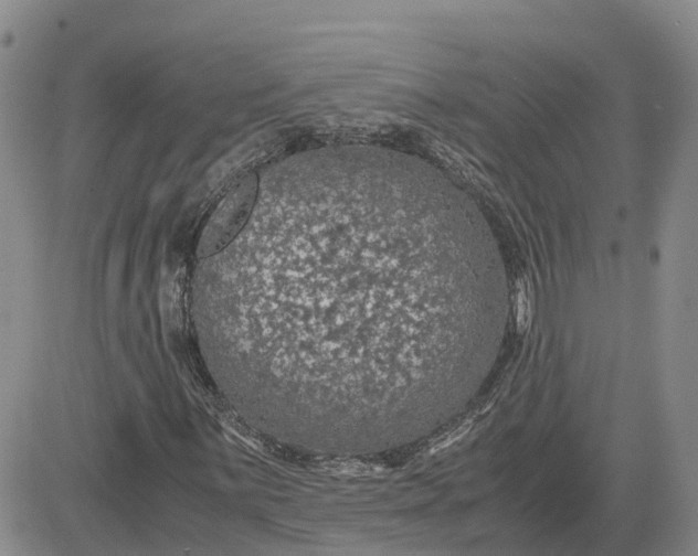 X0000083581059200702231649