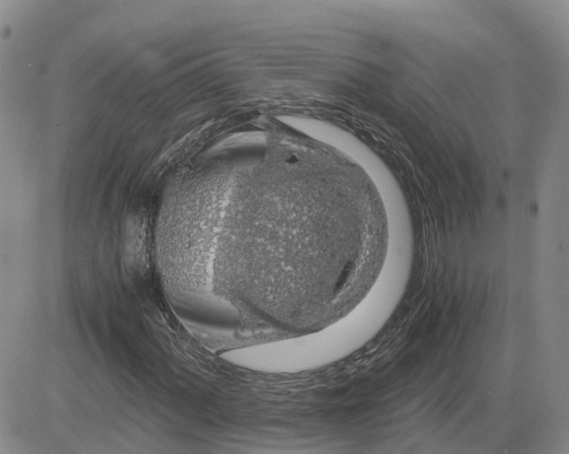 X0000083581060200702231649