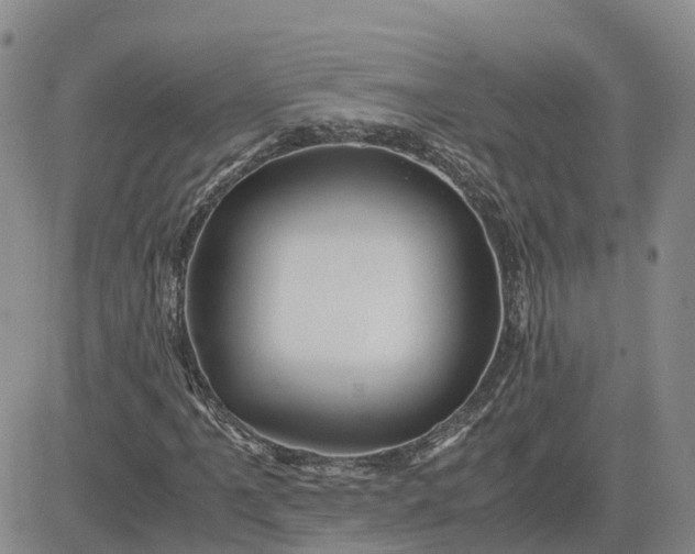 X0000083581061200702231649