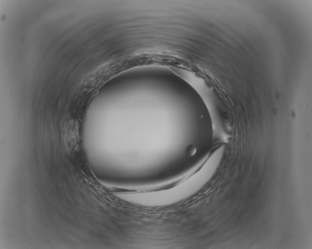 X0000083581062200702231649