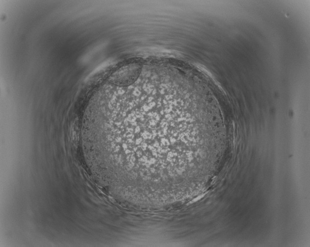 X0000083581063200702231649