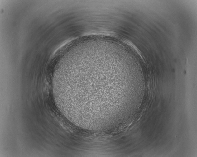 X0000083581064200702231649