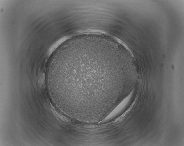 X0000083581066200702231649