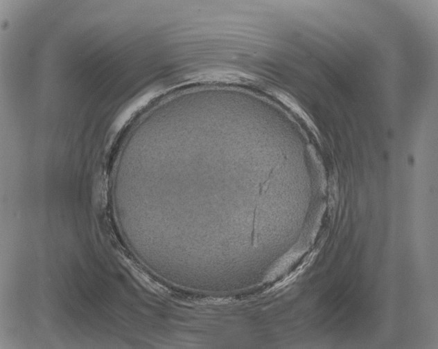 X0000083581067200702231649