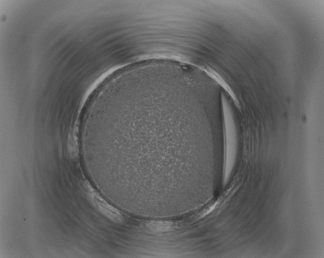 X0000083581068200702231649