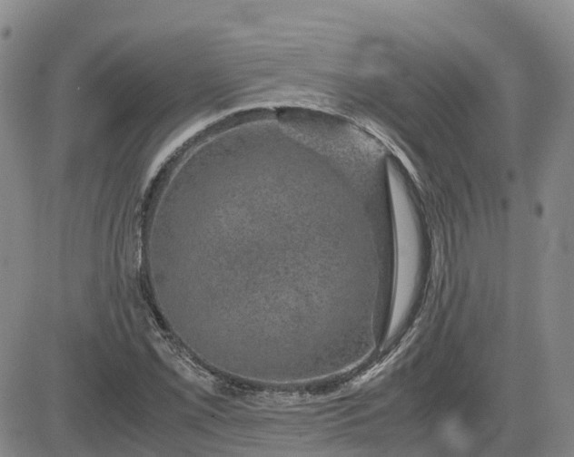 X0000083581069200702231649