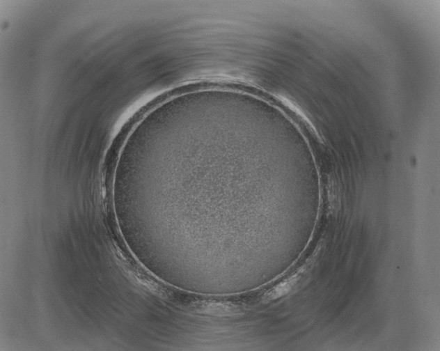 X0000083581070200702231649