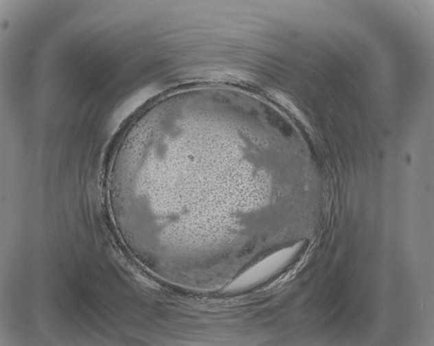 X0000083581071200702231649