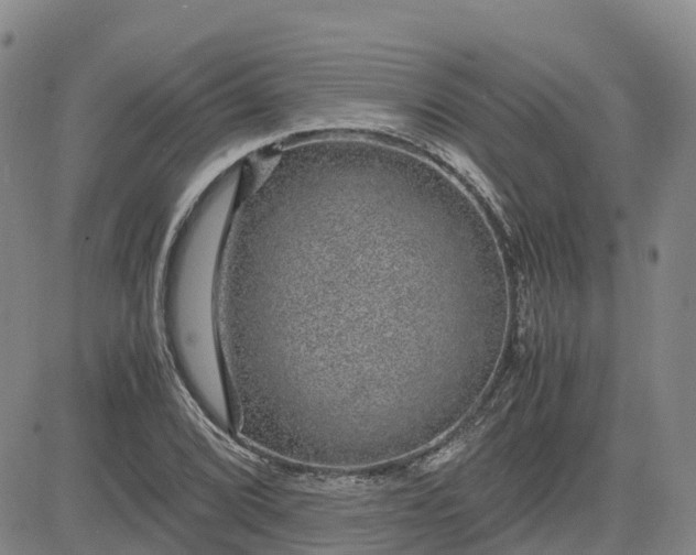 X0000083581072200702231649