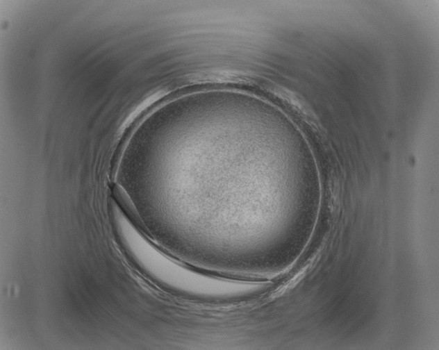 X0000083581073200702231649