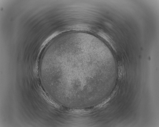 X0000083581074200702231649