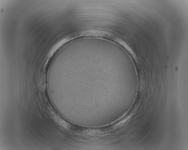 X0000083581075200702231649