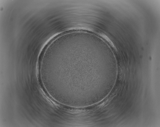 X0000083581076200702231649