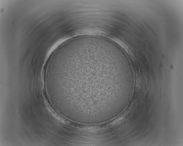 X0000083581078200702231649