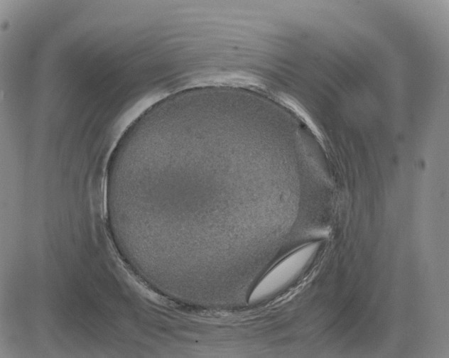 X0000083581079200702231649