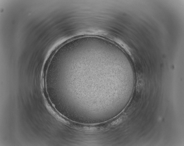 X0000083581080200702231649