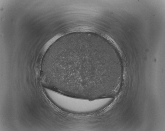 X0000083581081200702231649