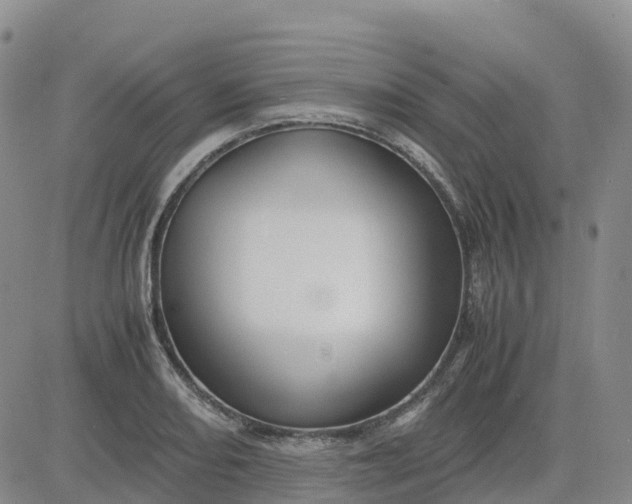 X0000083581082200702231649