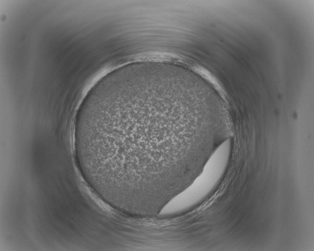 X0000083581083200702231649