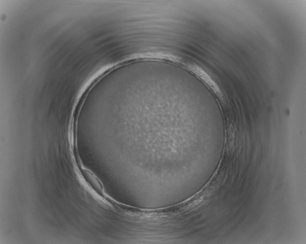 X0000083581084200702231649