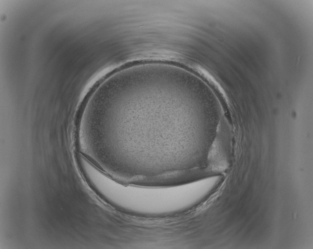 X0000083581085200702231649