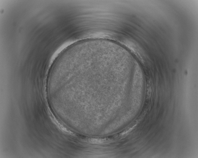 X0000083581086200702231649