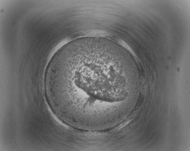 X0000083581087200702231649