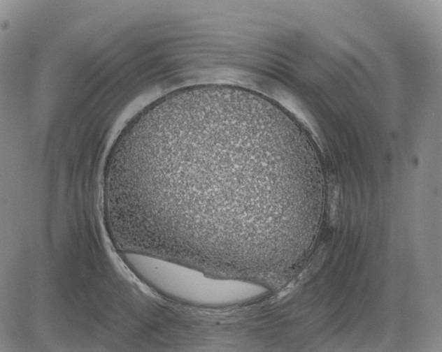 X0000083581088200702231649