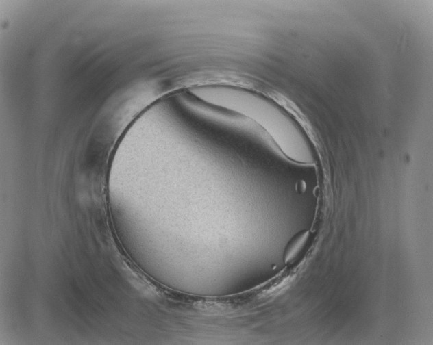 X0000083581089200702231649