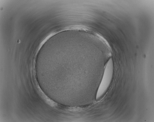 X0000083581091200702231649