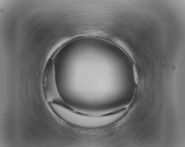 X0000083581093200702231649