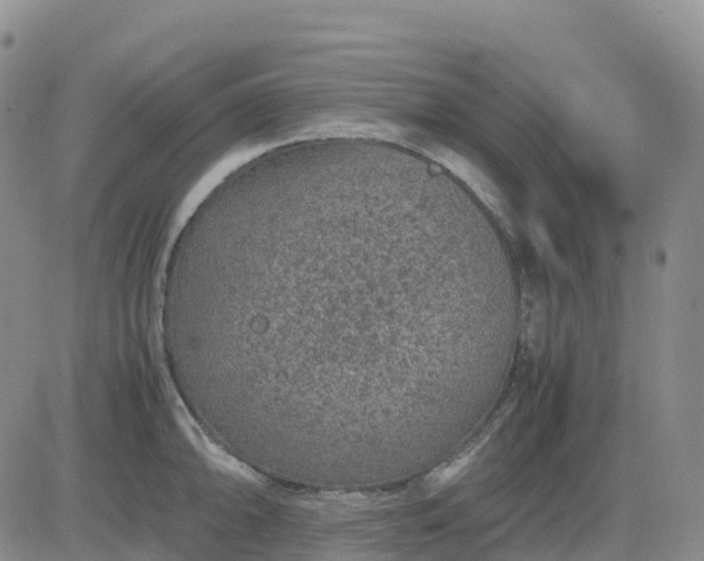 X0000083581094200702231649