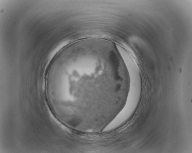 X0000083581095200702231649