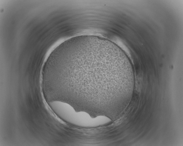 X0000083581096200702231649