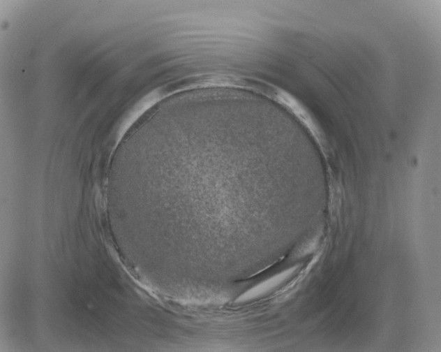 X0000083581097200702231649