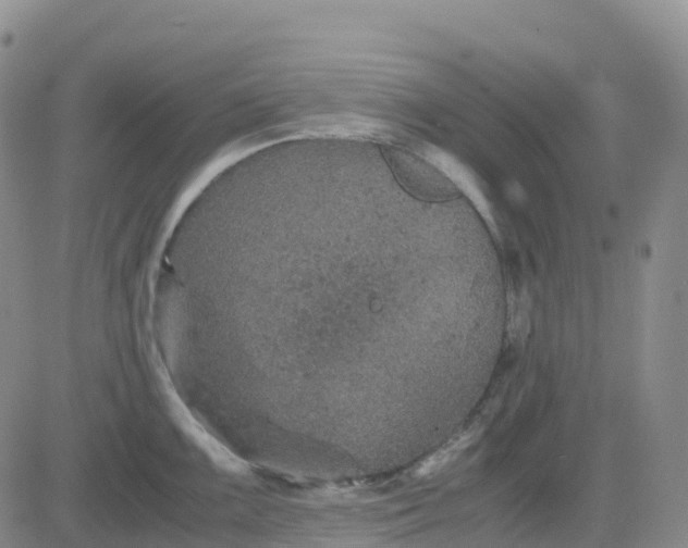 X0000083581099200702231649